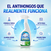 Anti Hongos